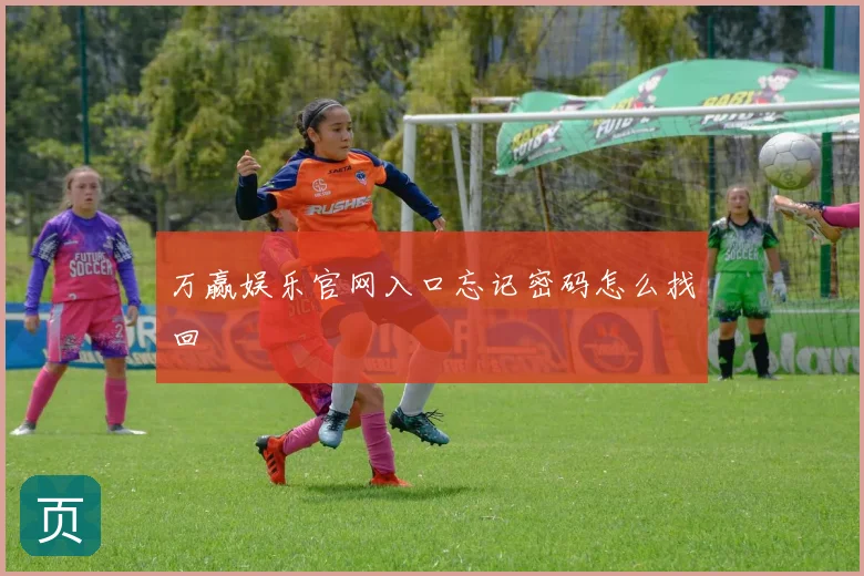 万赢娱乐官网入口忘记密码怎么找回