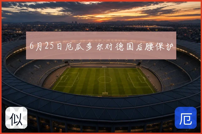 6月25日厄瓜多尔对德国后腰保护